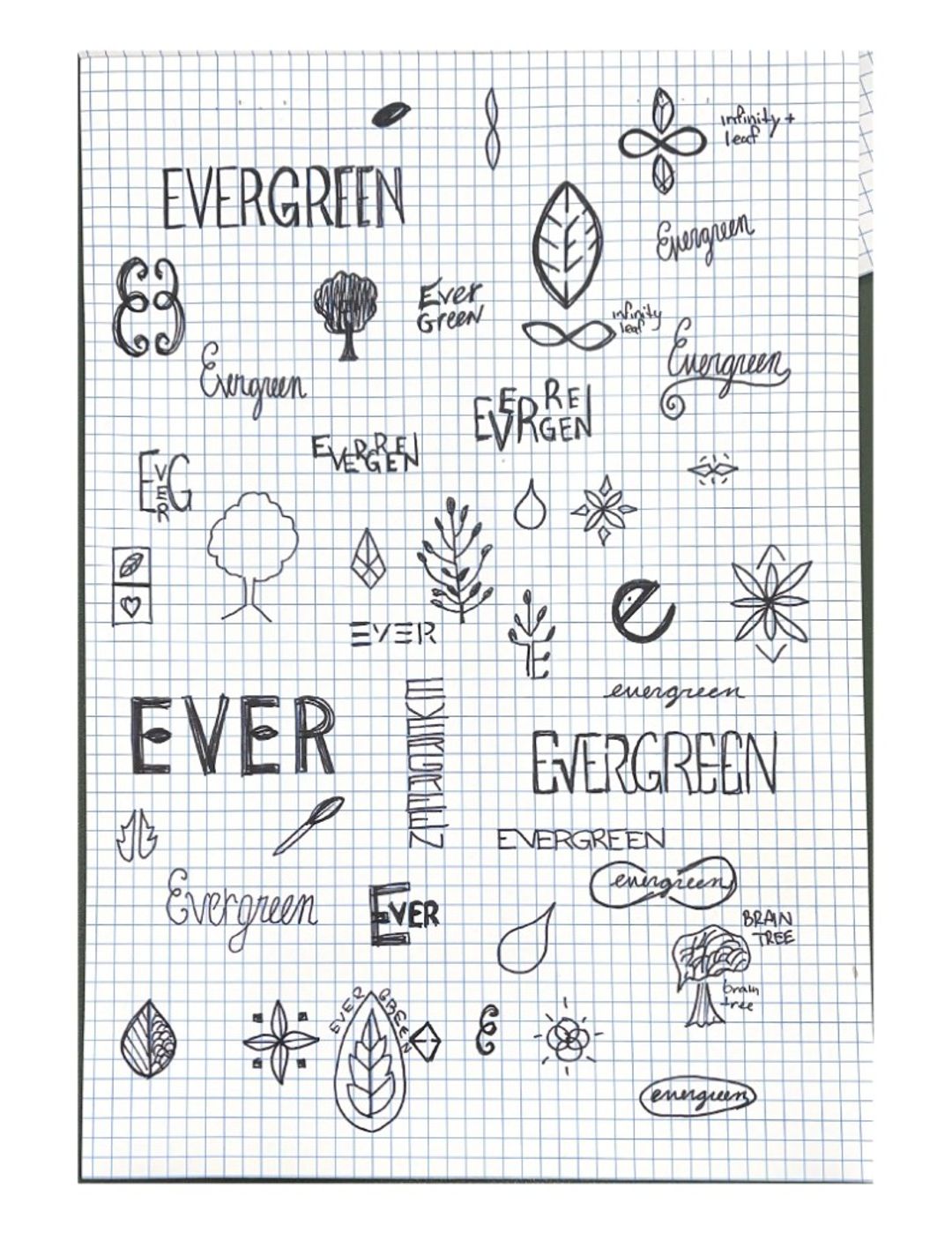 Evergreen 2, hand-drawn sketches from Drew's sketchbook