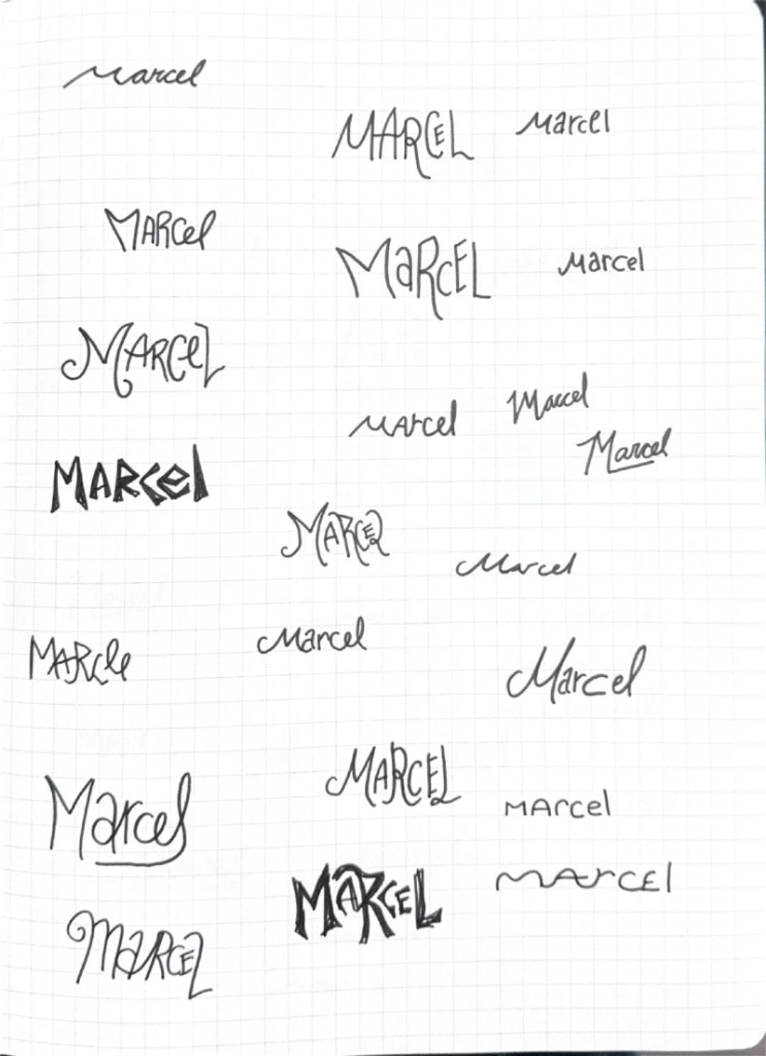 Marcel, hand-drawn sketches from Drew's sketchbook