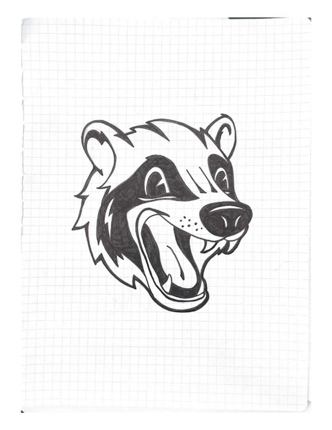 Fisher creative honey badger, hand-drawn sketches from Drew's sketchbook