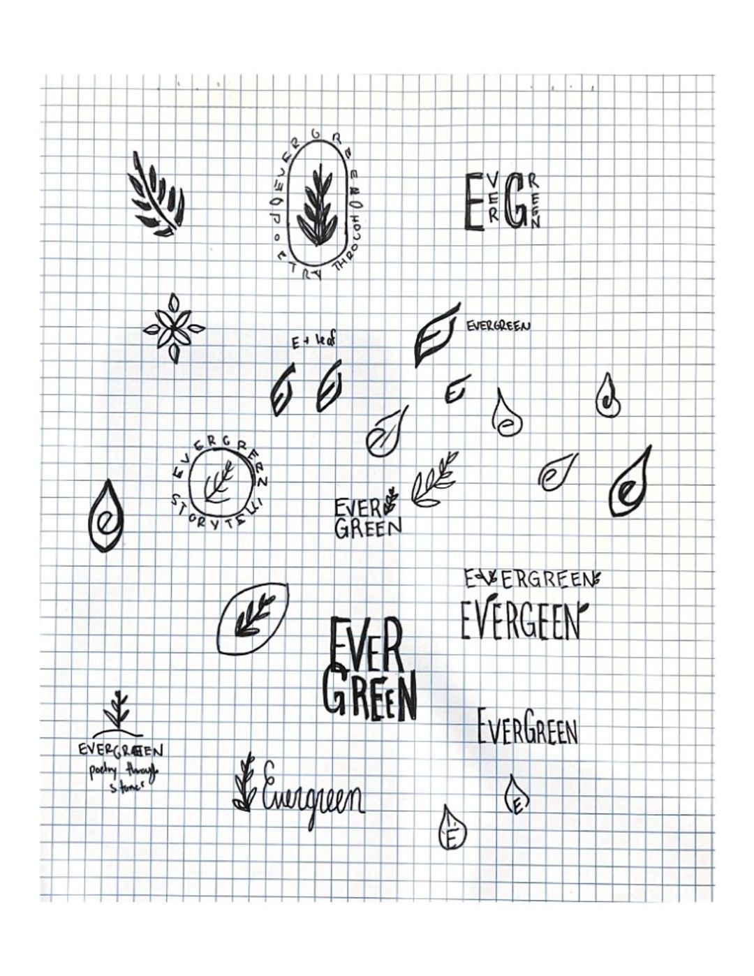 Evergreen, hand-drawn sketches from Drew's sketchbook