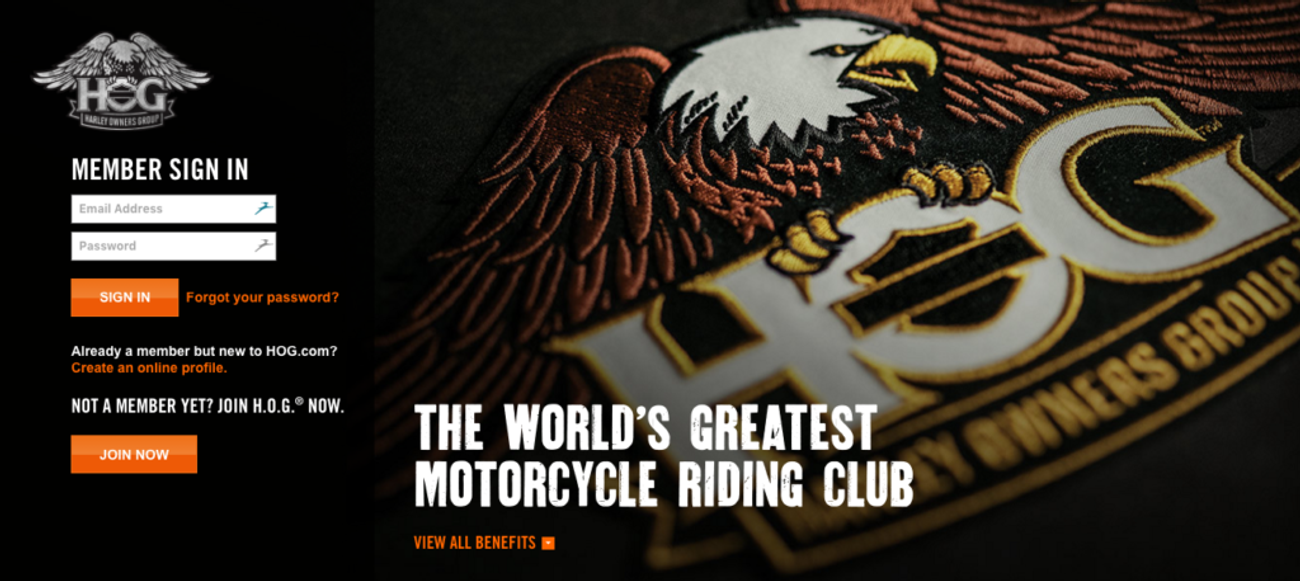 image-cf7723a216524321757b57fd580db0c7e2ae9f8e-1024x458-png