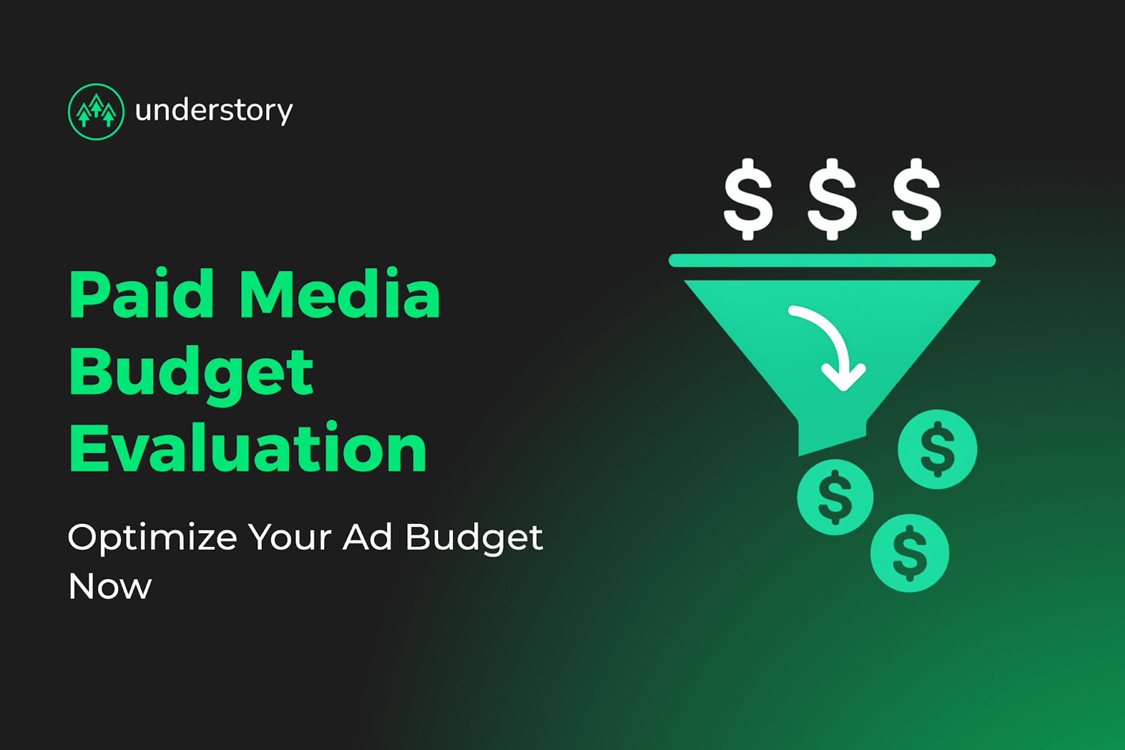 Paid media budget evaluation