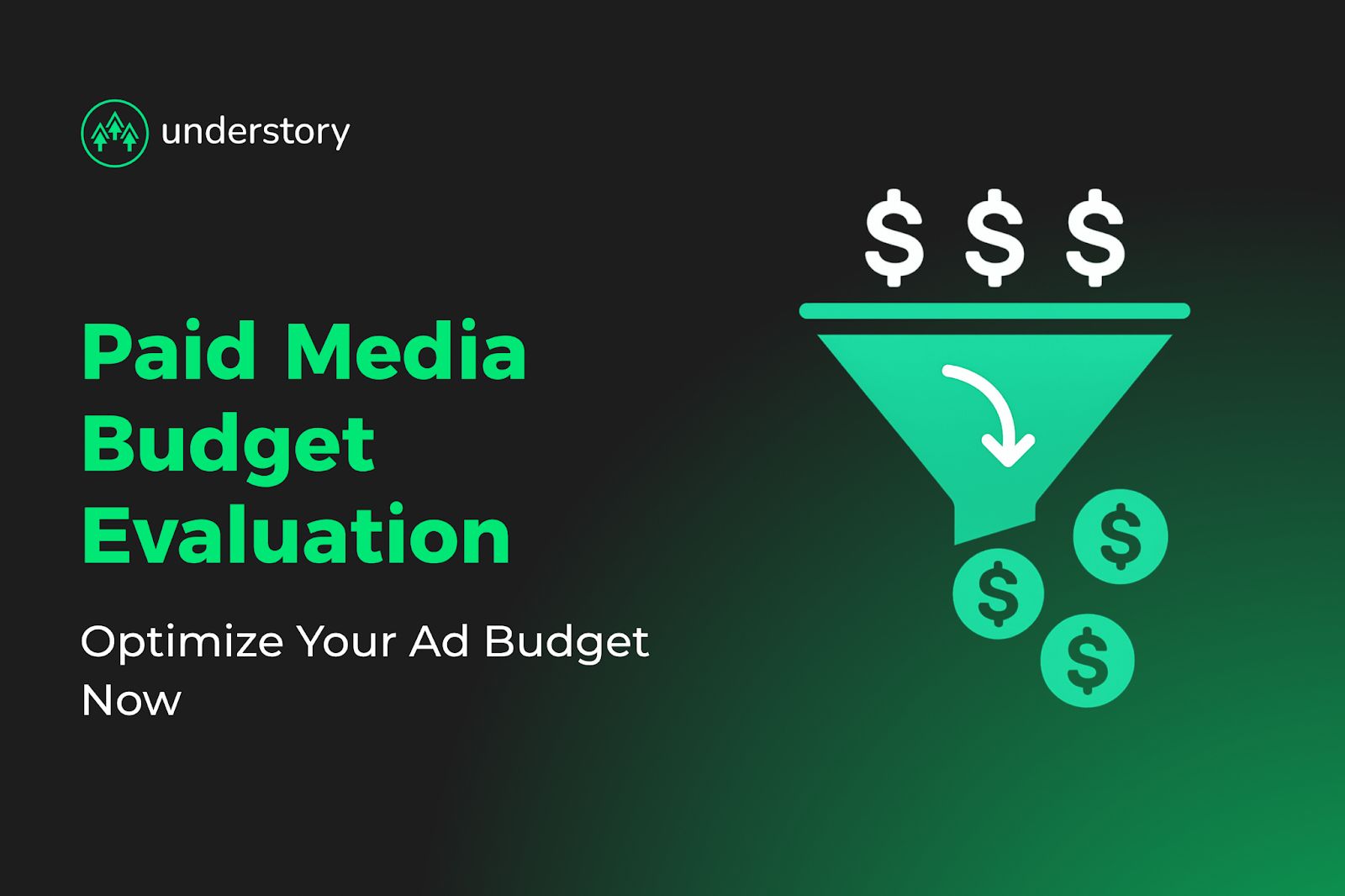 Paid media budget evaluation