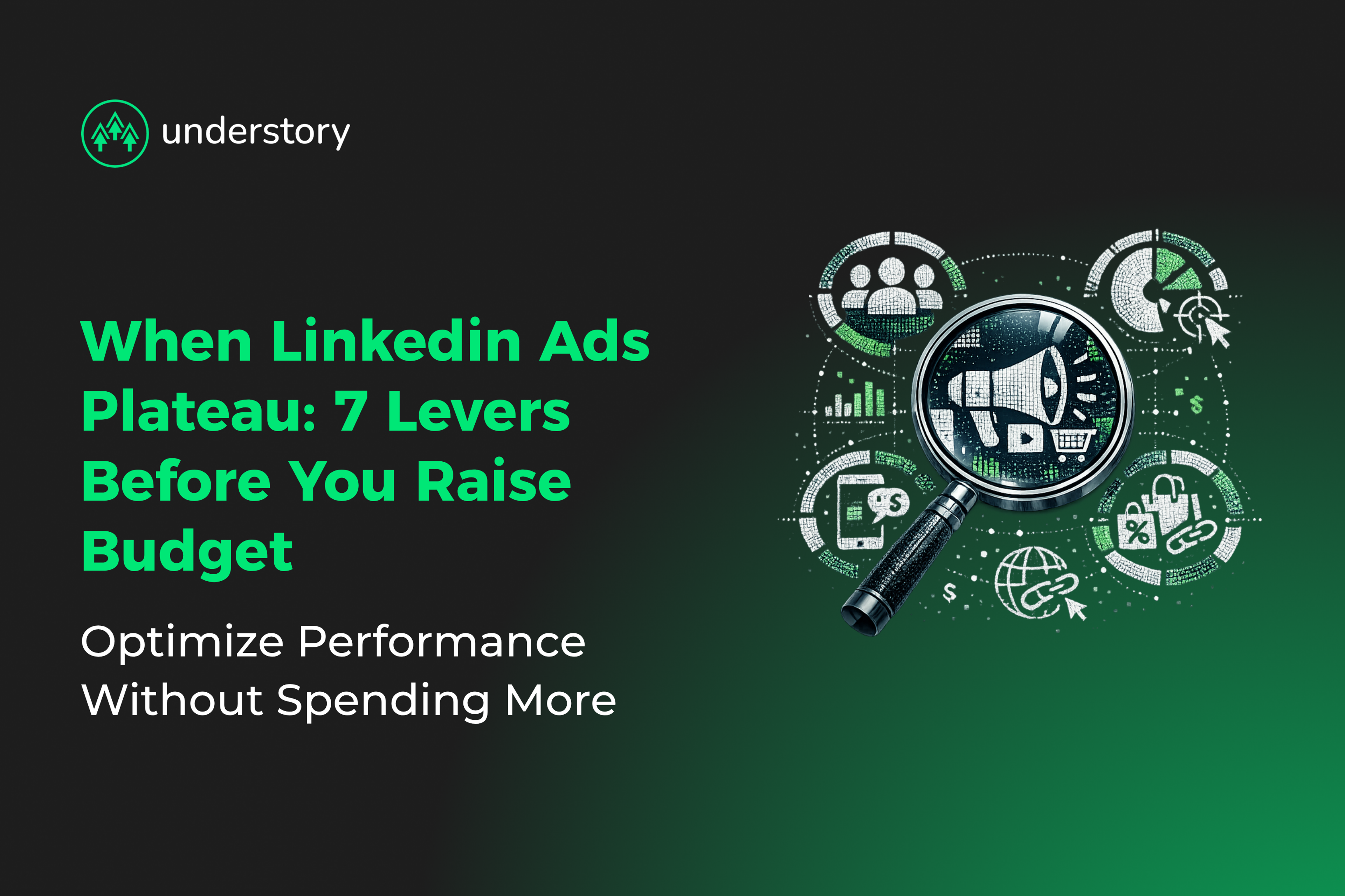 SaaS growth leader optimizing LinkedIn ad campaign performance levers instead of increasing budget