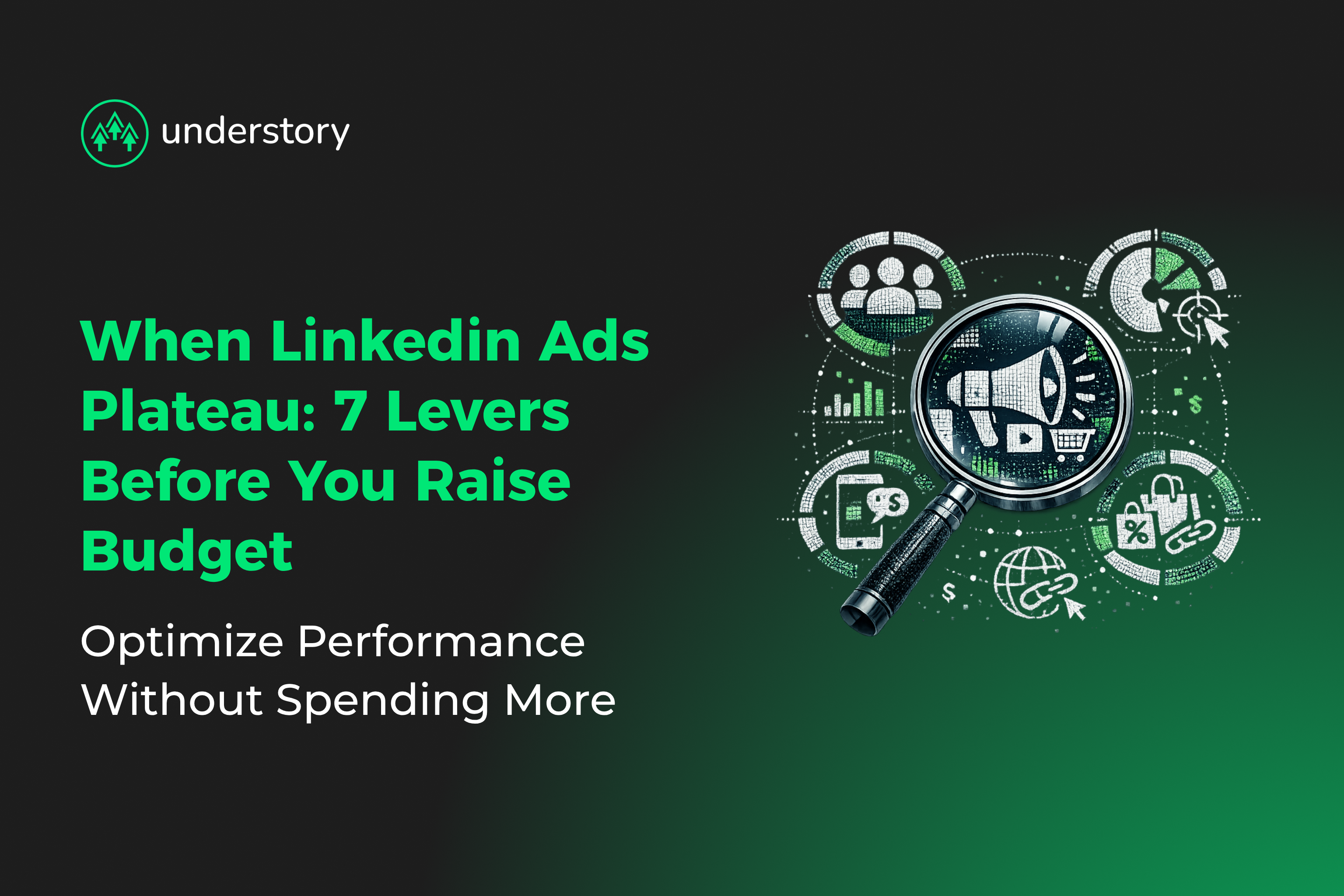 SaaS growth leader optimizing LinkedIn ad campaign performance levers instead of increasing budget