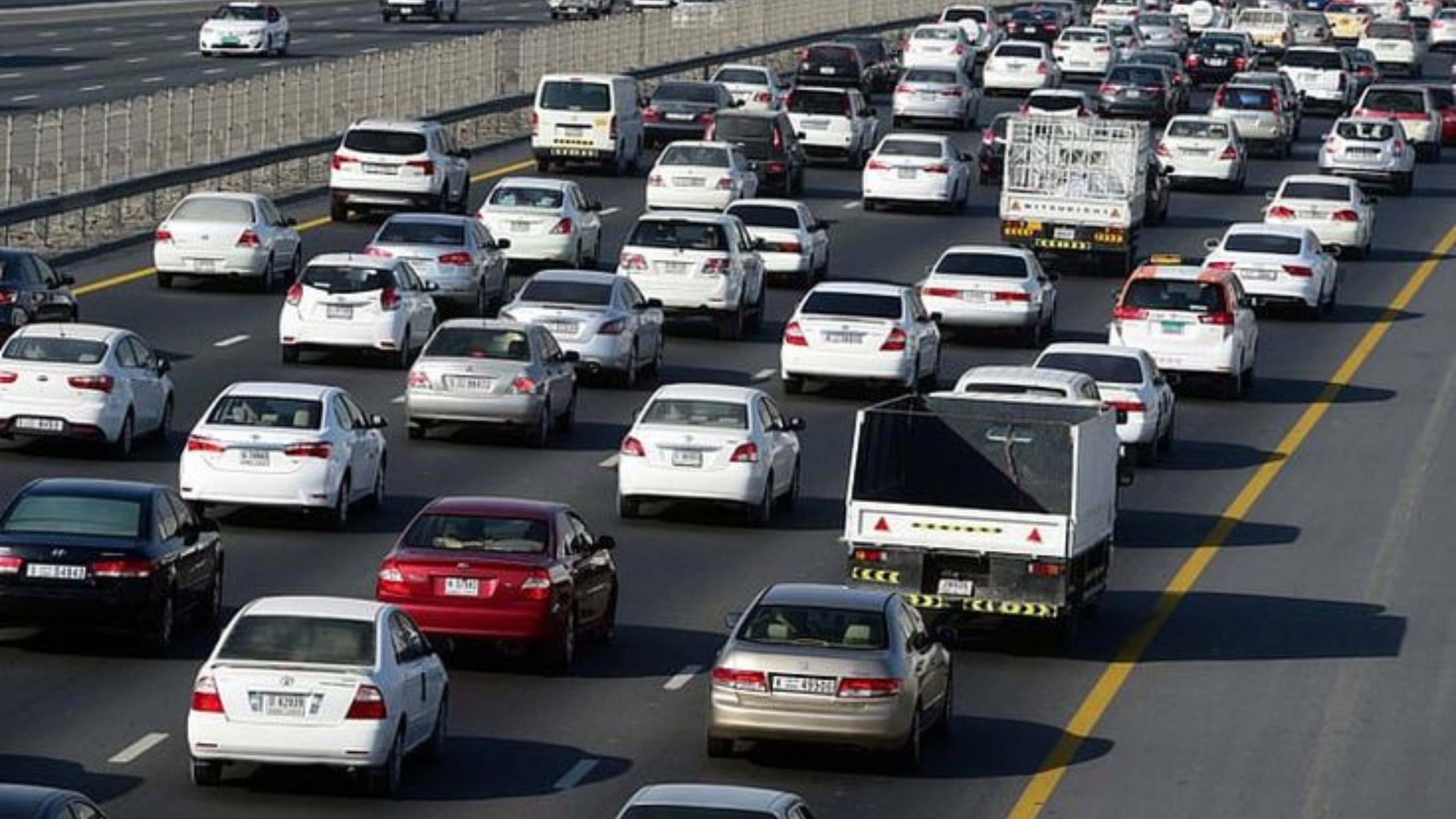 Consultant assisting a client with Abu Dhabi Traffic Services paperwork and online TAMM forms.