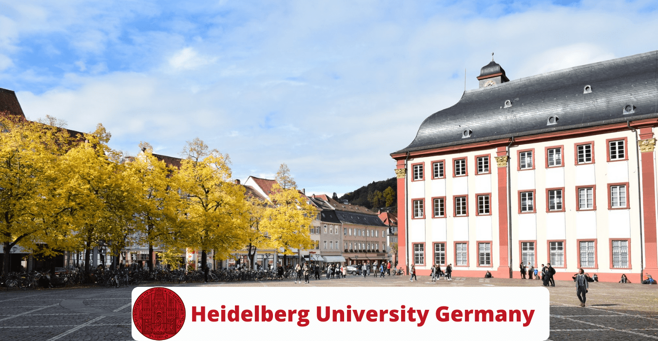 Heidelberg Medical University