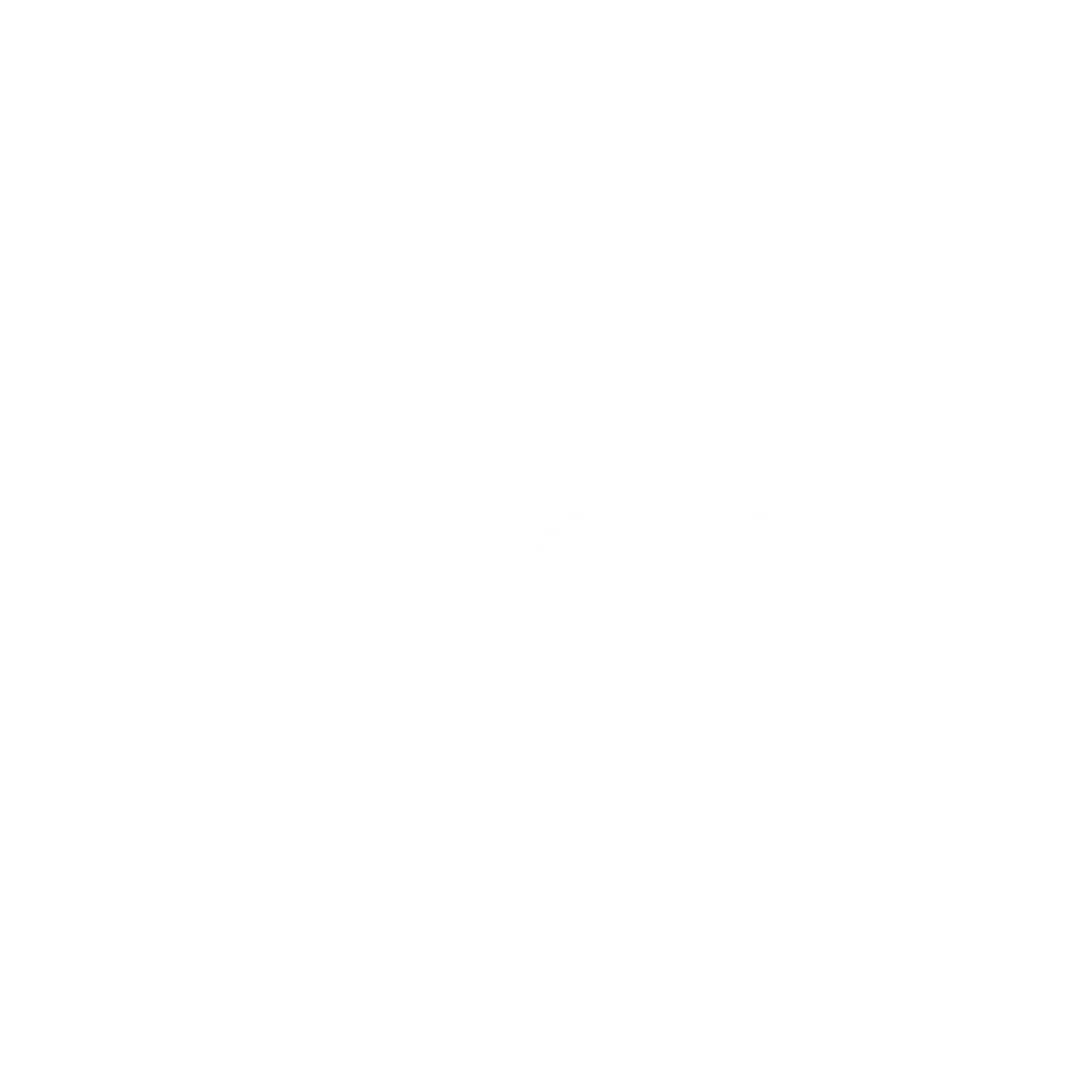 Rowenta Frisbo Customer