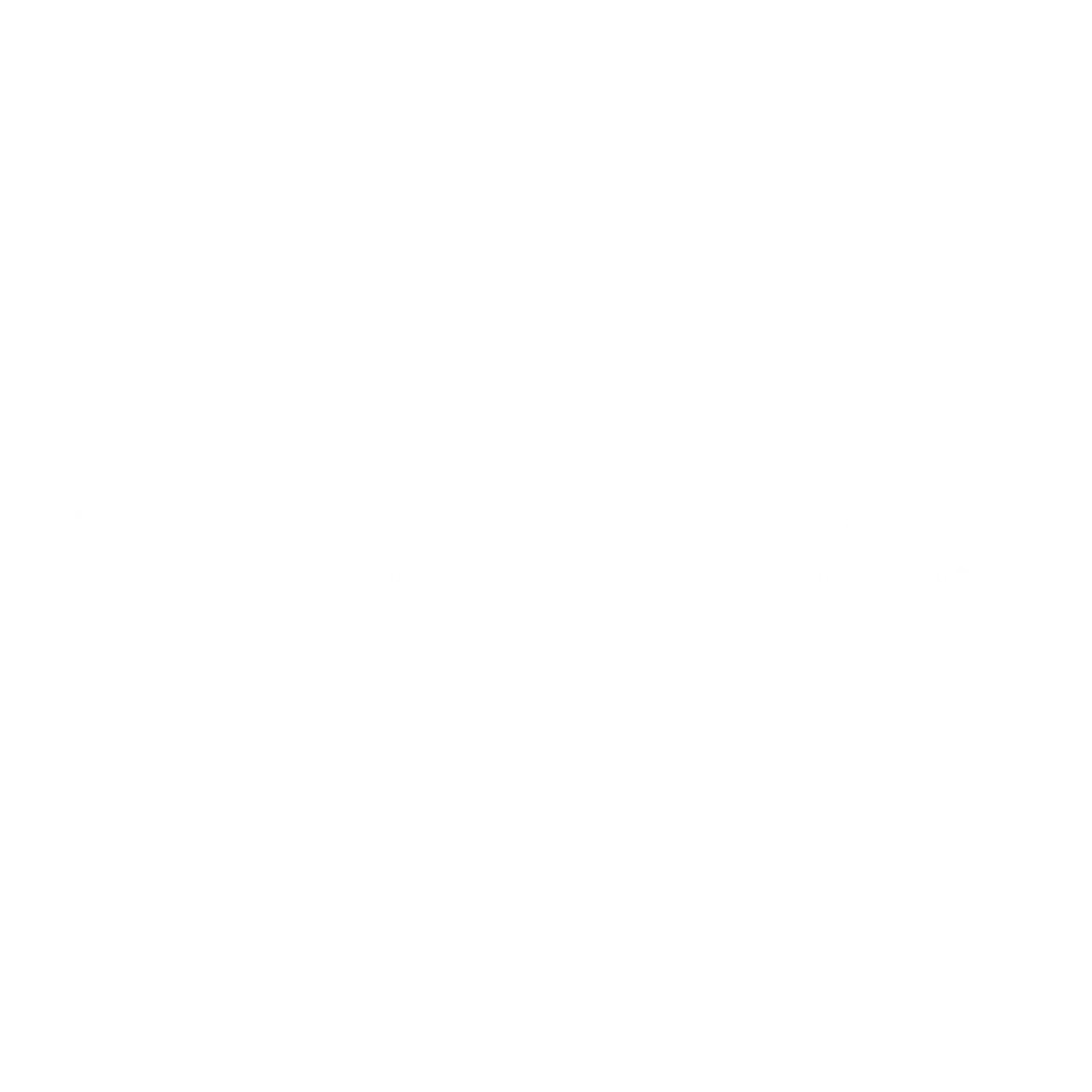 MI Home Frisbo Customer