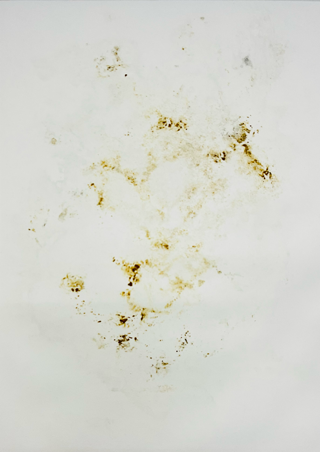 photograph of an abstract, organic-looking, brownish motif imprinted on white paper