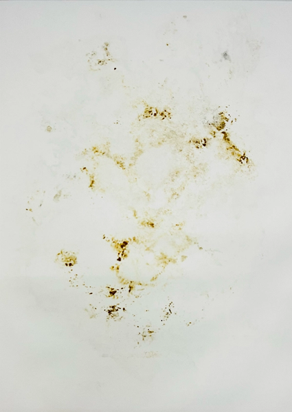 photograph of an abstract, organic-looking, brownish motif imprinted on white paper