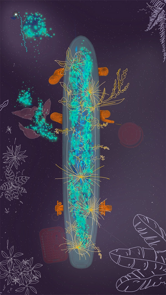 A false-color vector drawing showing an amoeba-like figure that transpires to be either a boat or an oblong planter seen directly from above, with flourescent turquoise growth inside