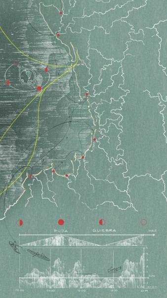 A hand drawn map of a coastal region with whales and other lines suggesting movement sketched in yellow against a green background