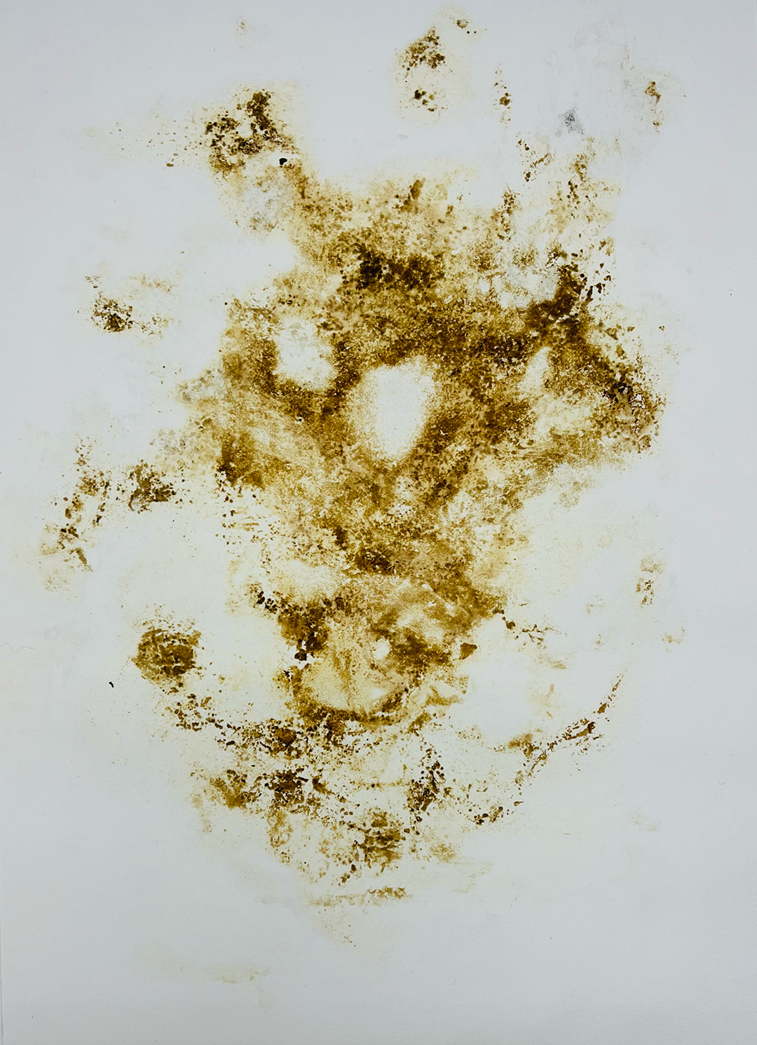 photograph of an abstract, organic-looking, brownish motif imprinted on white paper