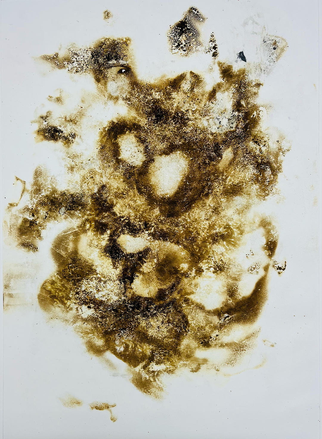 photograph of an abstract, organic-looking, brownish motif imprinted on white paper