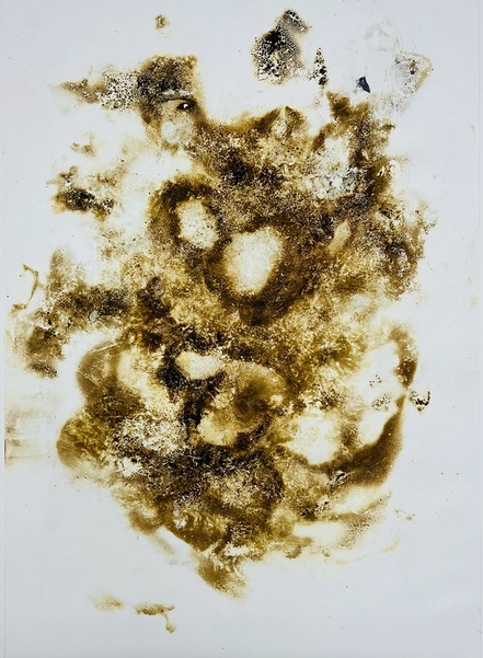 photograph of an abstract, organic-looking, brownish motif imprinted on white paper