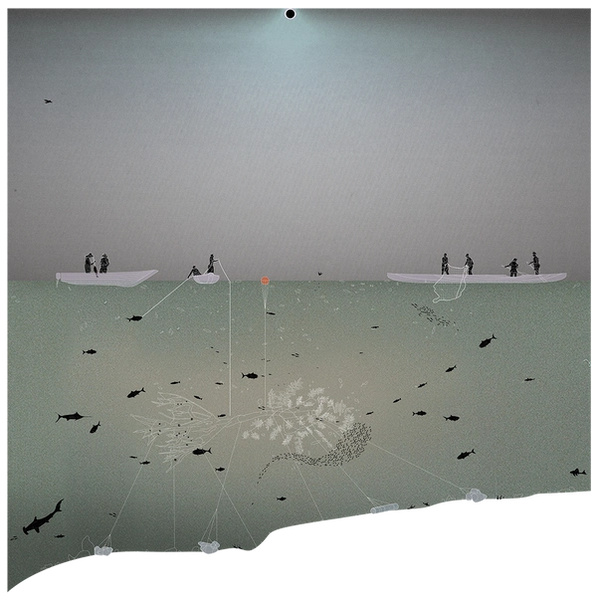 A stylized section drawing showing human figures in silhouette on 3 boats on the surface of grey-green water, in the water below them a sunk tree and fish swimming in schools around the tree