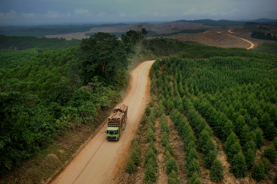 A photograph of a yellow-red dirt road cutting through a landscape, dense tropical forest to the left, regimented growth of an industrial forest to the right. A logging truck carrying timber drives on the road facing the image, in the background far-reaching stretches of brownish patches of land suggesting a landscape that had been transformed through industrial use. 