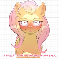 Naklejka Fluttershy Furry | My Little Pony Naklejka winylowa SFW furry sticker,sfw sticker,stickers,fluttershy,mlp sticker,My Little Pony sticker