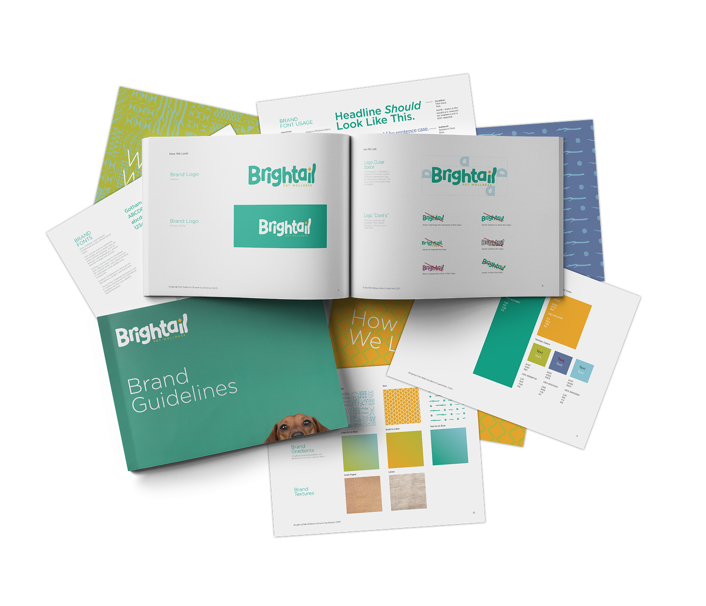 Brightail brand identity