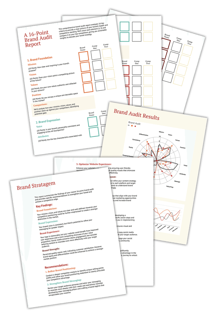 Sample Brand Audit Report