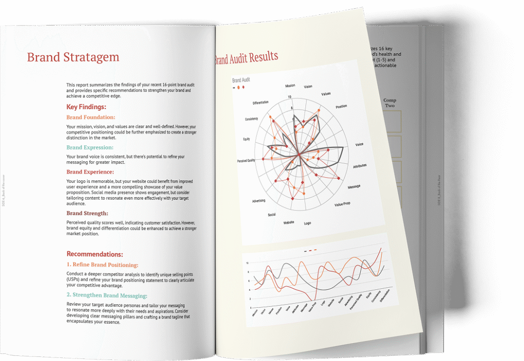 16-Point Brand Audit Report