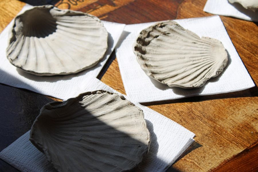 Clay seashells made during our Sips and Seashells workshop sitting in the sun