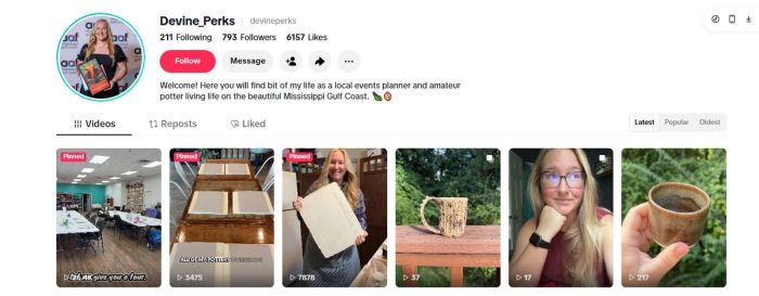 Screen grab of TikTok page for Devine Perks Pottery