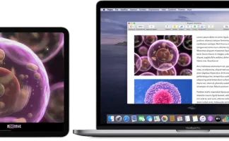 Come usare la funzione Accedi con Apple