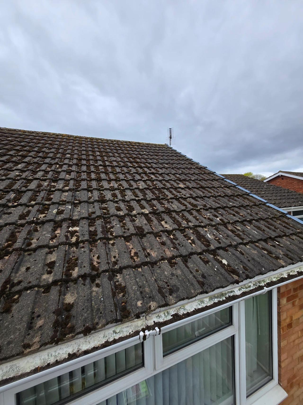 Roof cleaning in Kidderminster