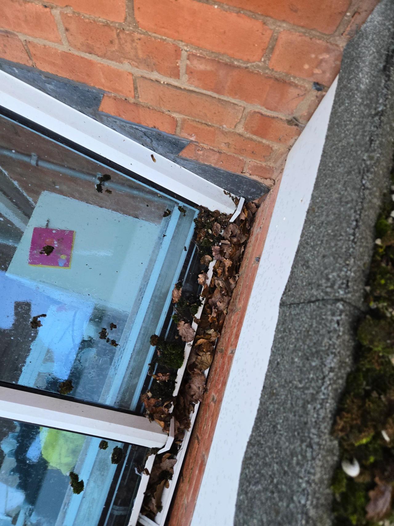 Conservatory cleaning in Kidderminster