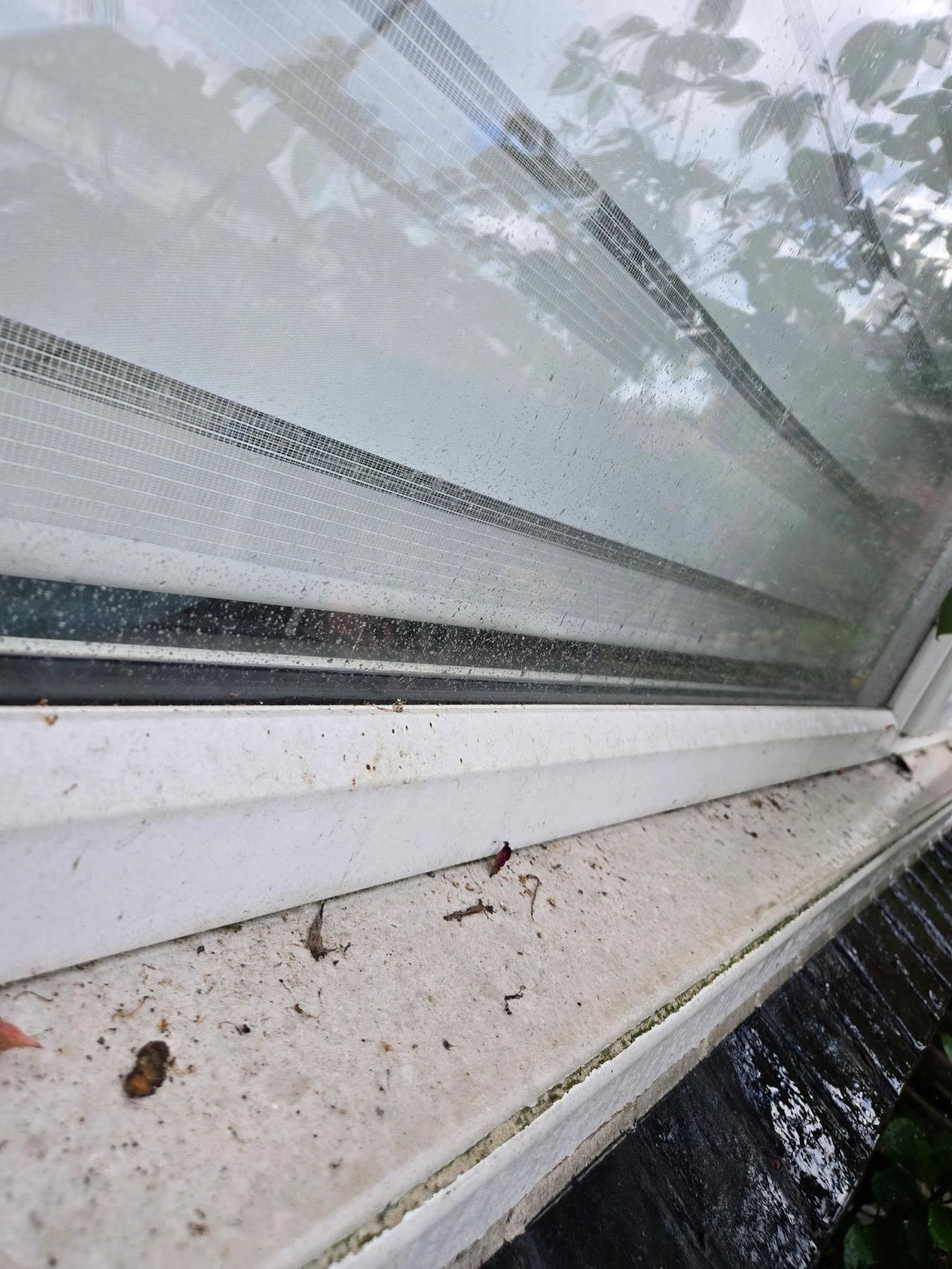 Window cleaning in Kidderminster