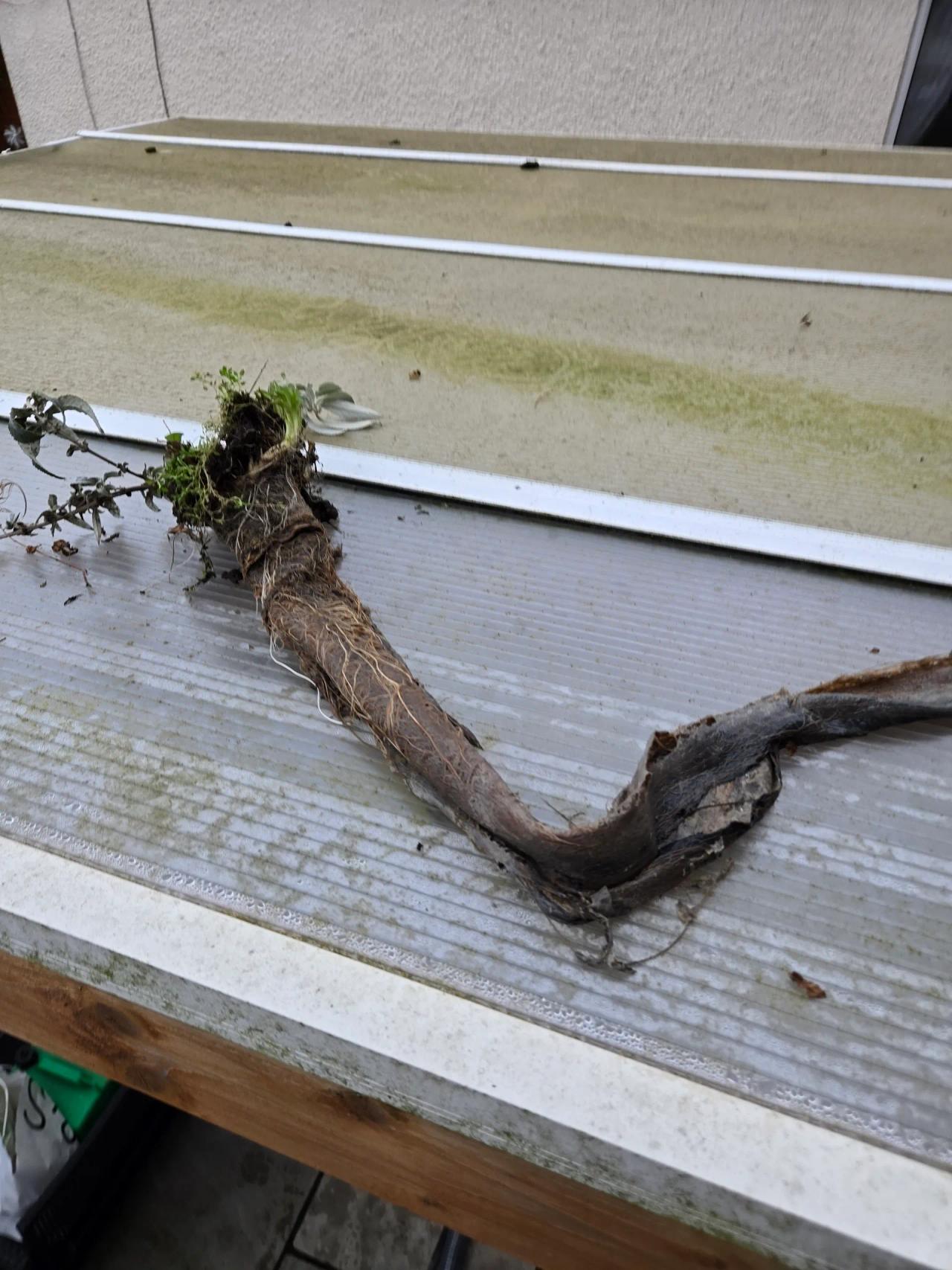 Gutter cleaning in Kidderminster