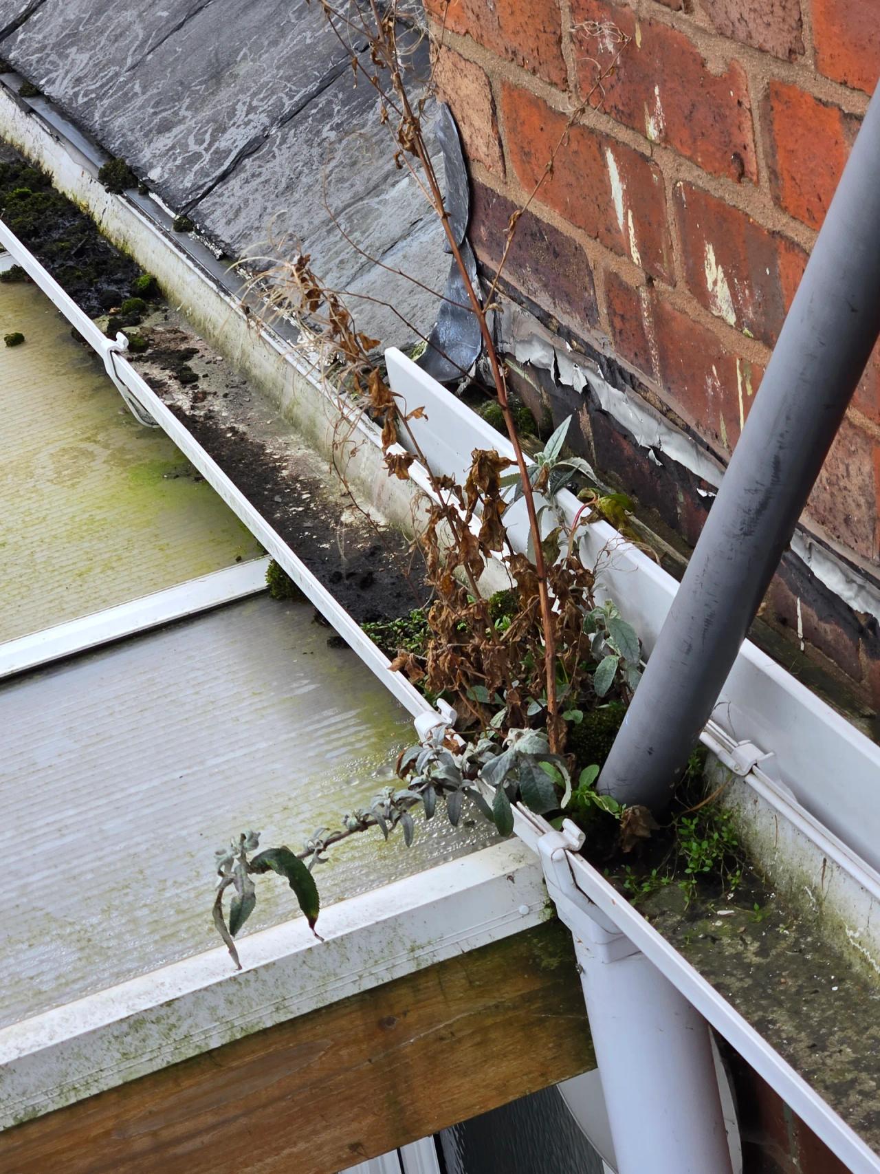 Gutter cleaning in Kidderminster