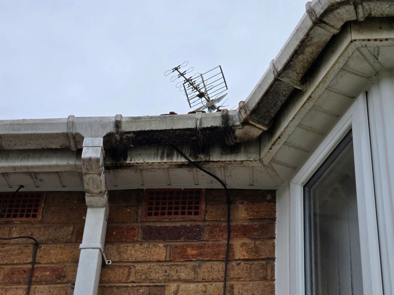 Fascia and soffit cleaning in Kidderminster