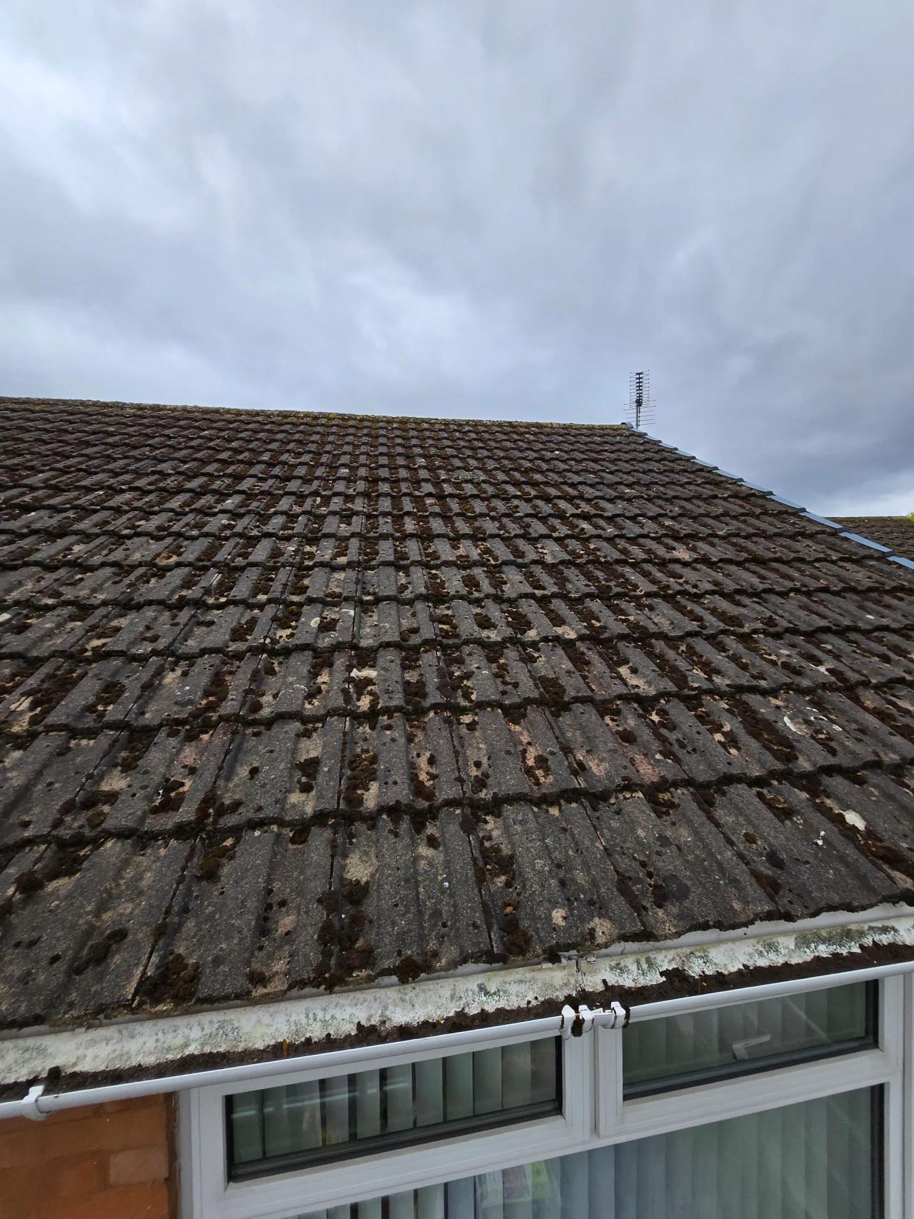 Roof cleaning in Kidderminster