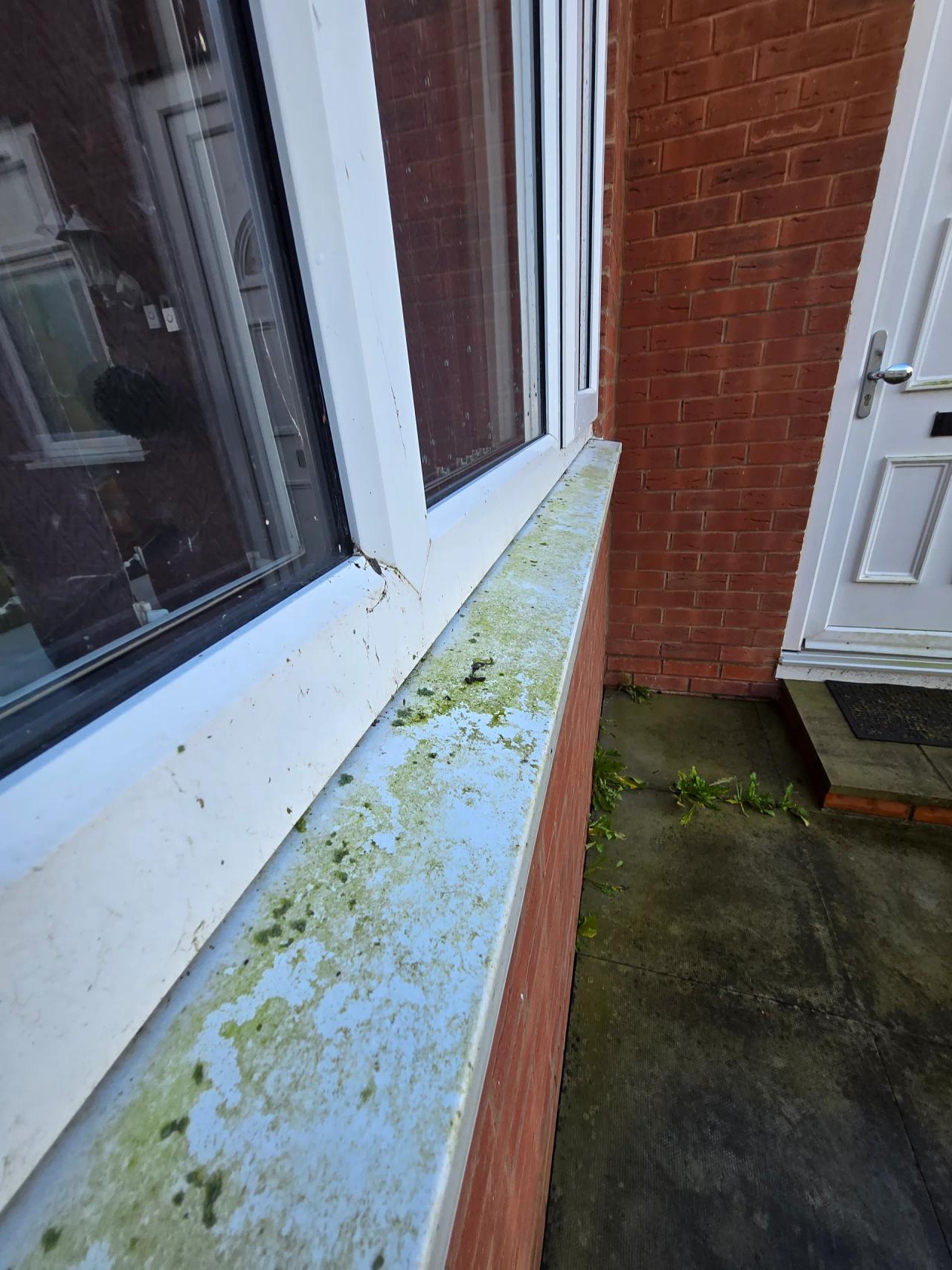 Window cleaning in Kidderminster