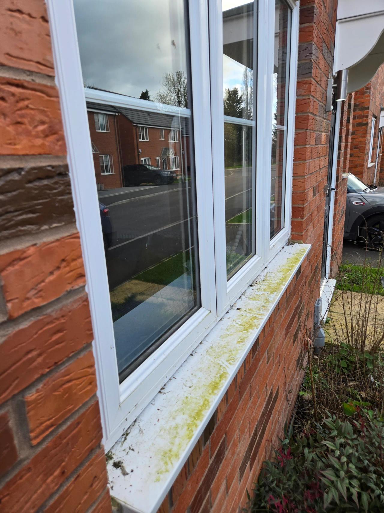 Window cleaning in Kidderminster