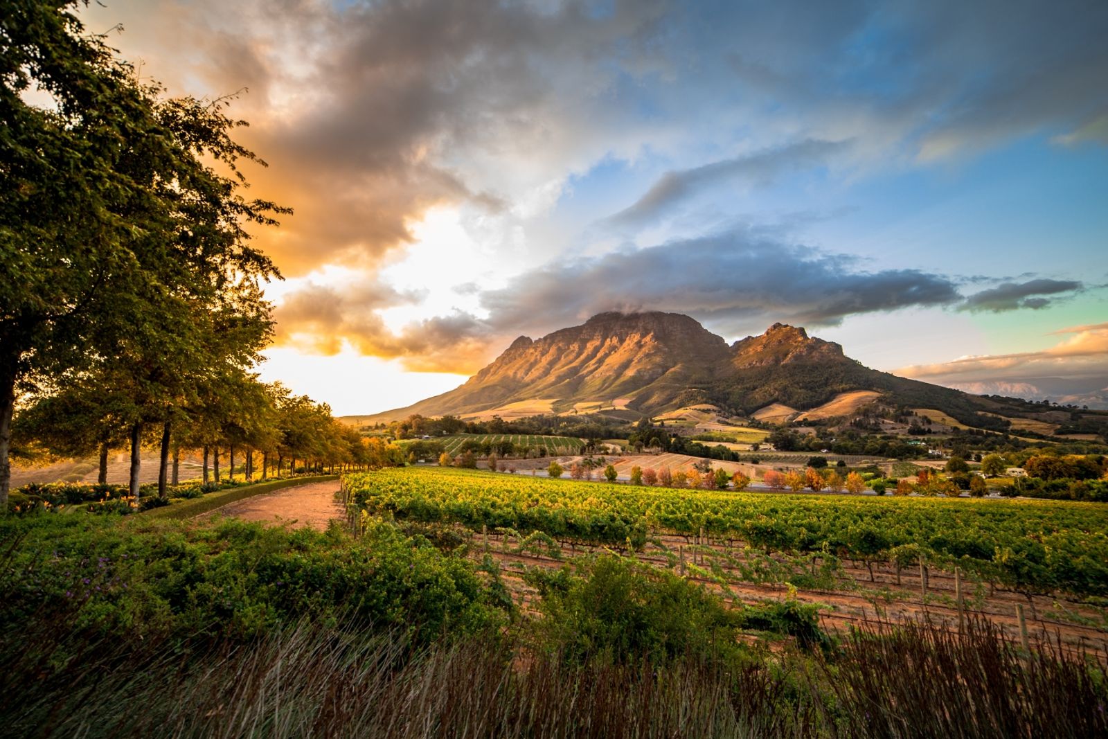 Hotels in Stellenbosch, South Africa