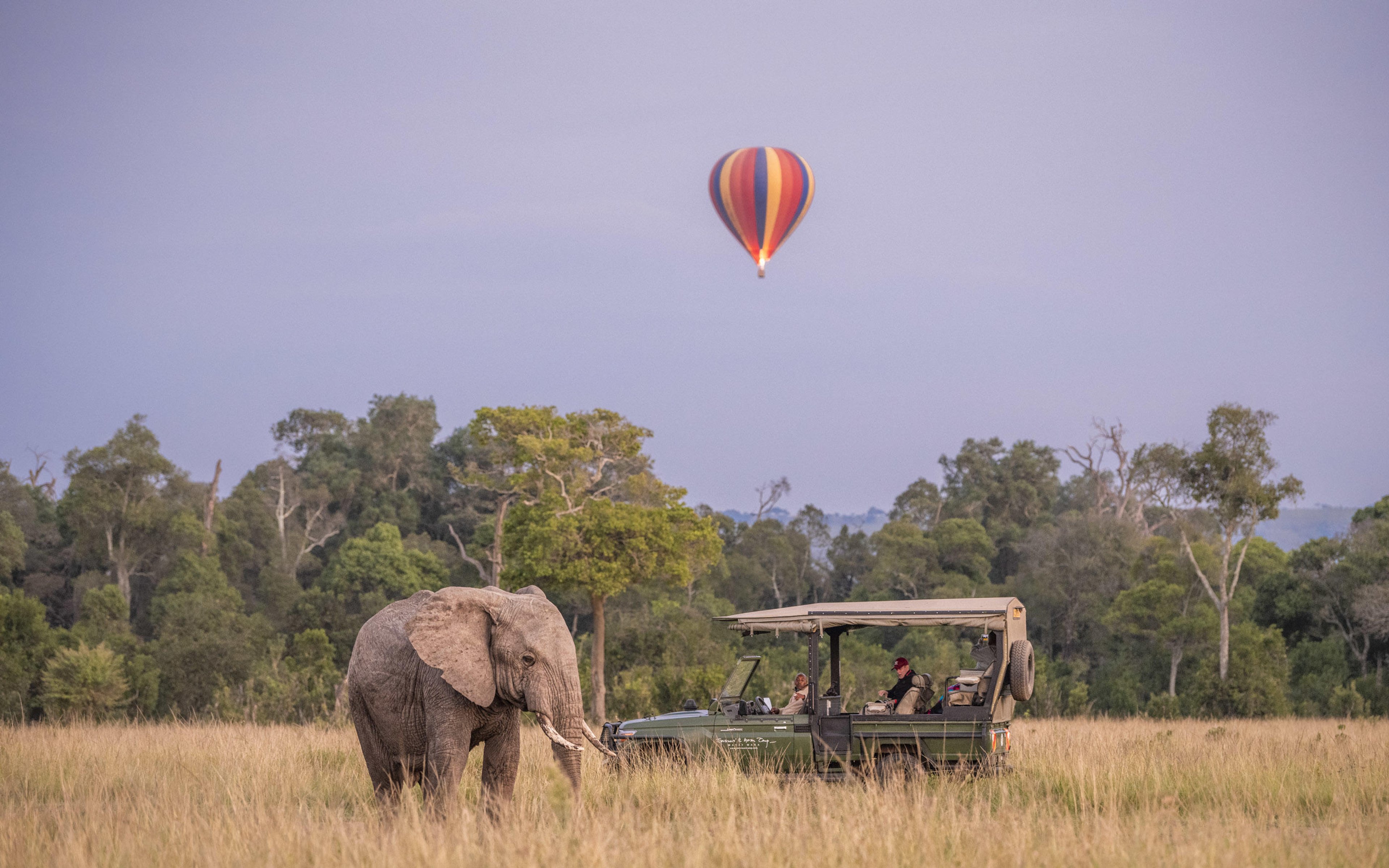 Safari vehicle observing an elephant in a grassland with a hot air balloon in the sky.