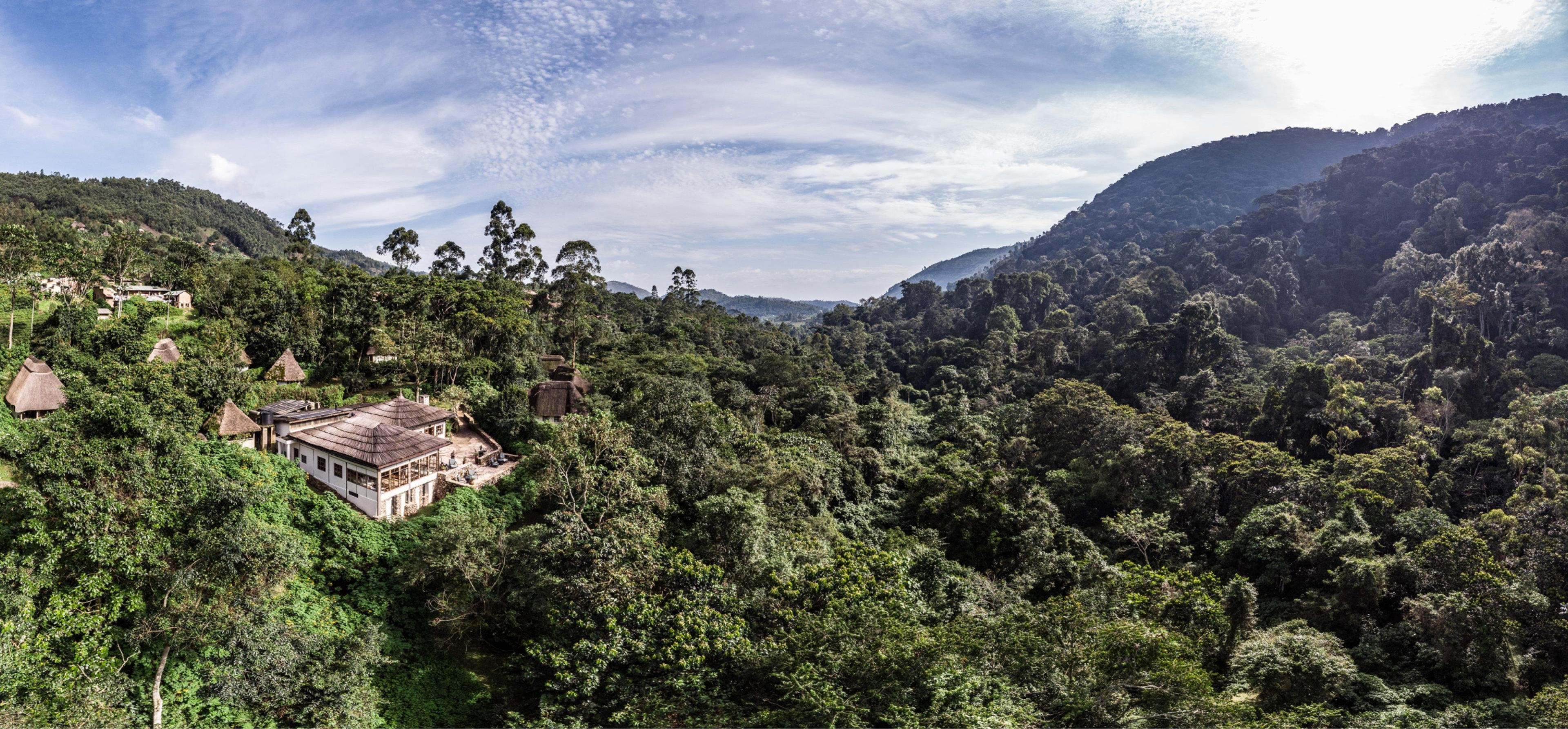 Panoramic view of a lodge nestled in a lush green forest, with mountains in the background