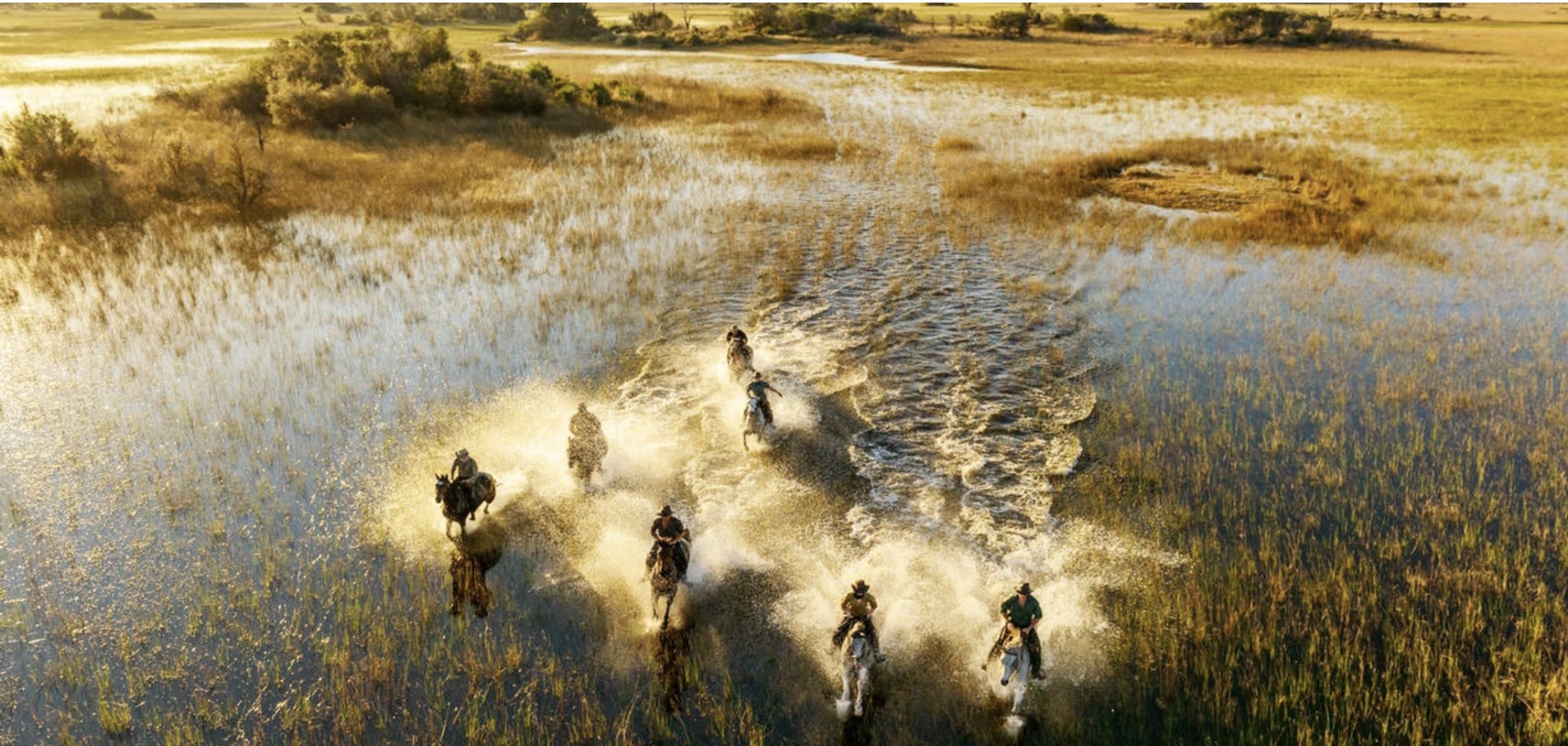 ROAR Luxury Destinations Botswana Horse Riding