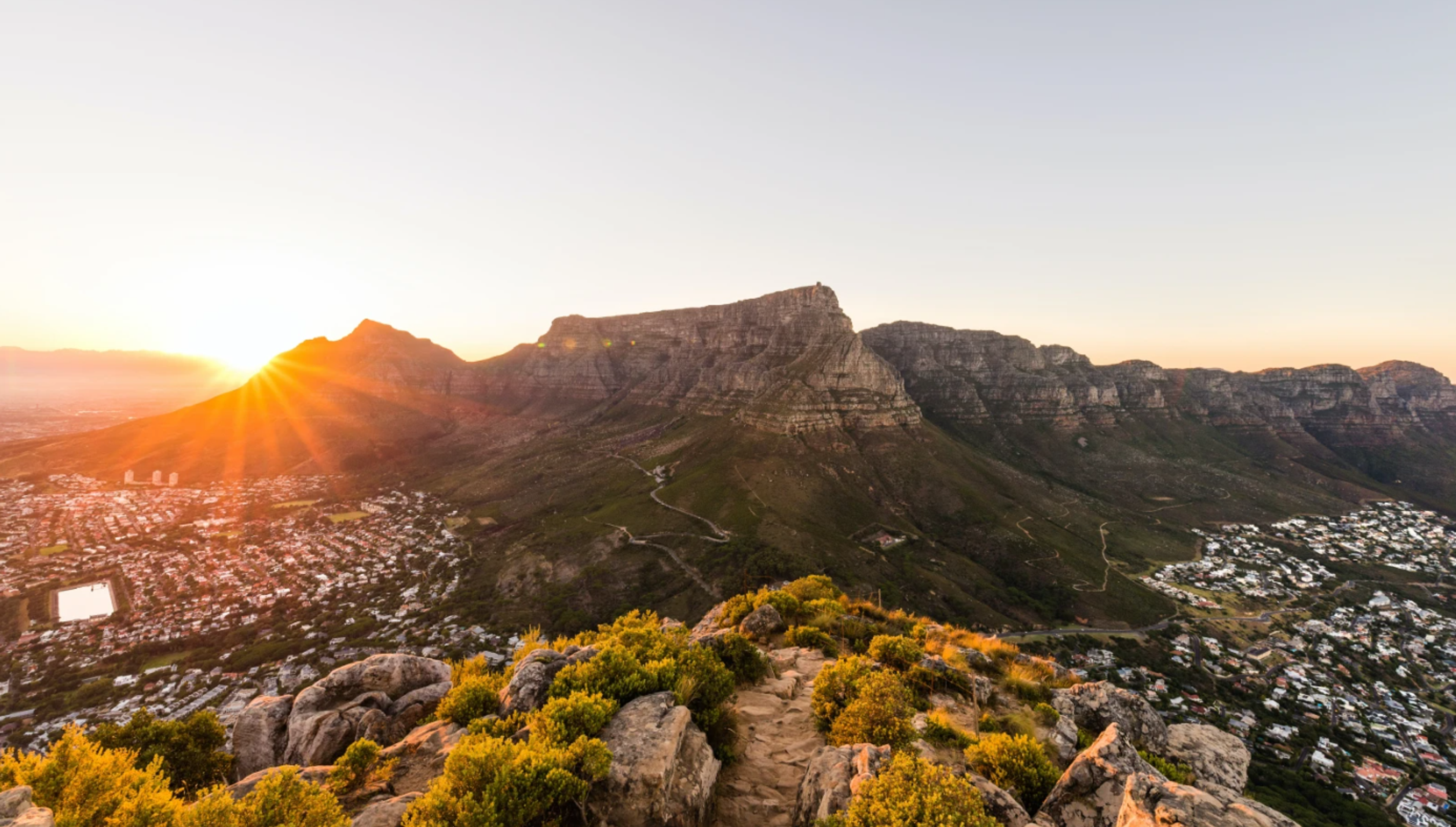 Sunrise over Table Mountain in Cape Town, with a view of the city below and vegetation in the foreground