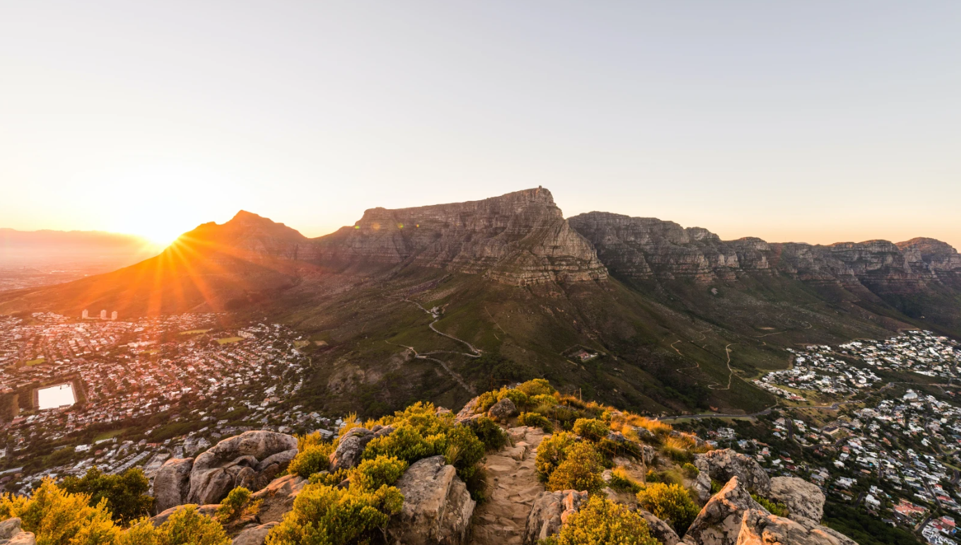 Sunrise over Table Mountain in Cape Town, with a view of the city below and vegetation in the foreground