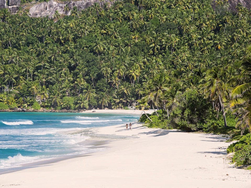 Beach with palm trees and people walking along the shore