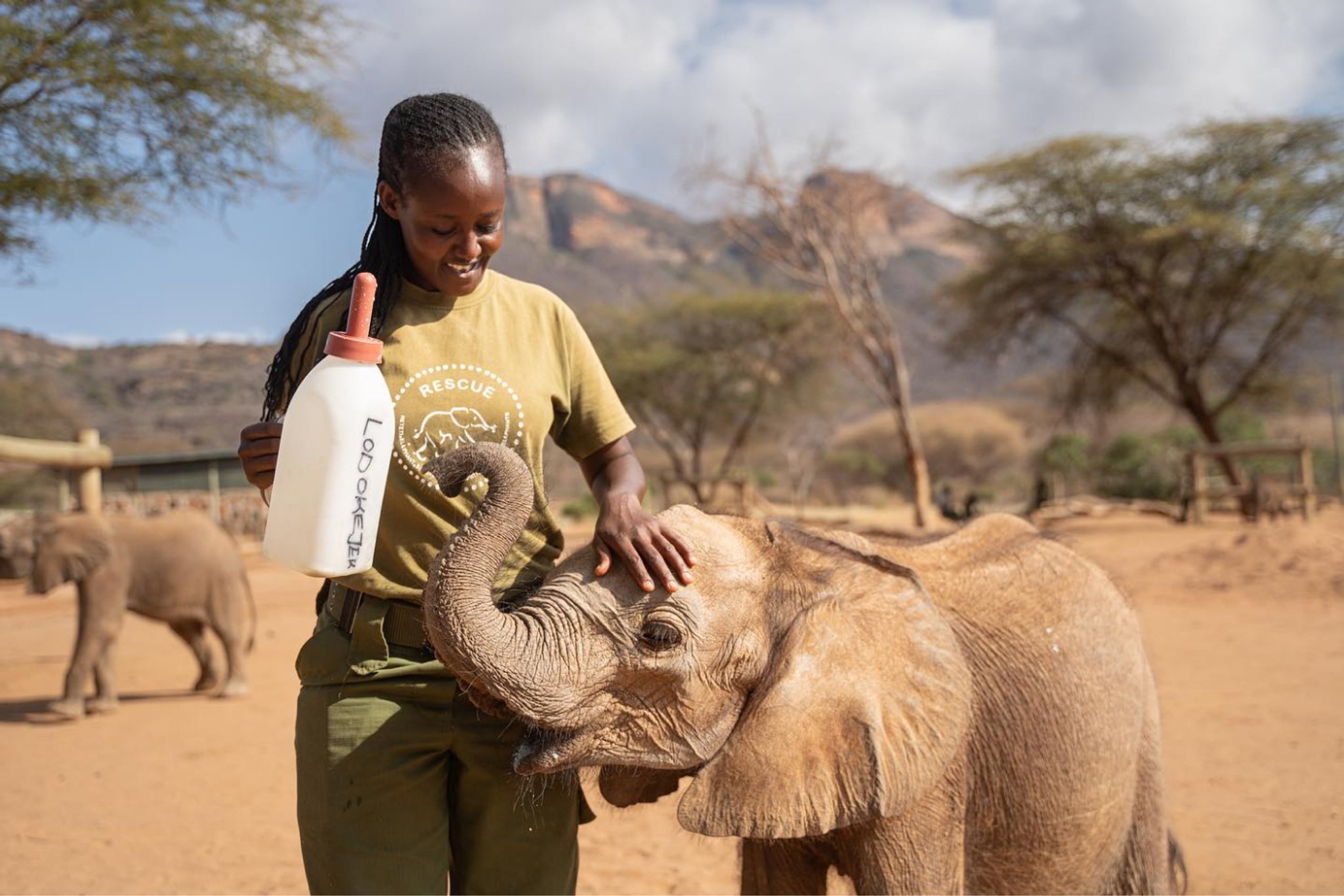 Elephant orphanage visit