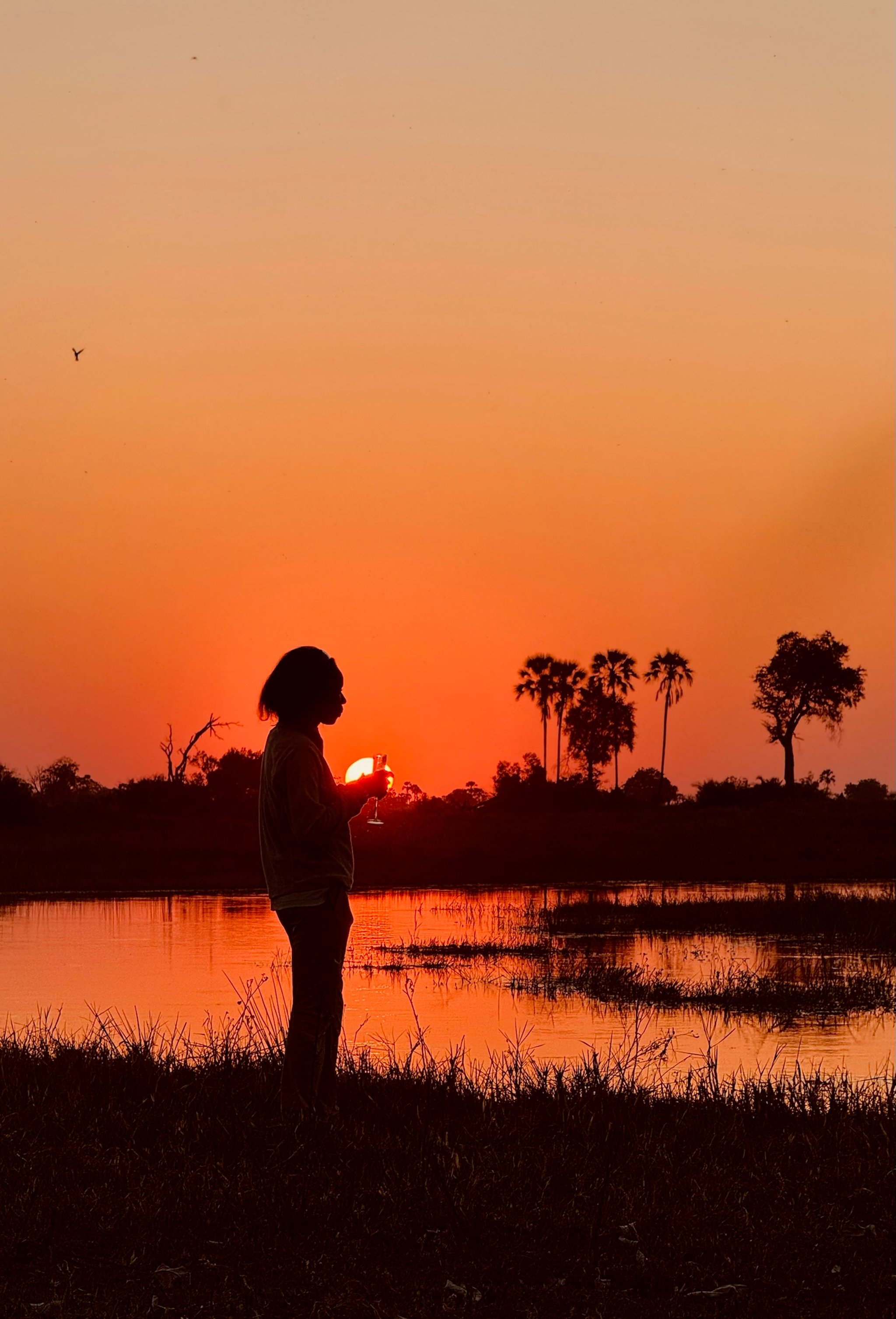 A lone figure holding a glass, silhouetted against a blazing sunset.