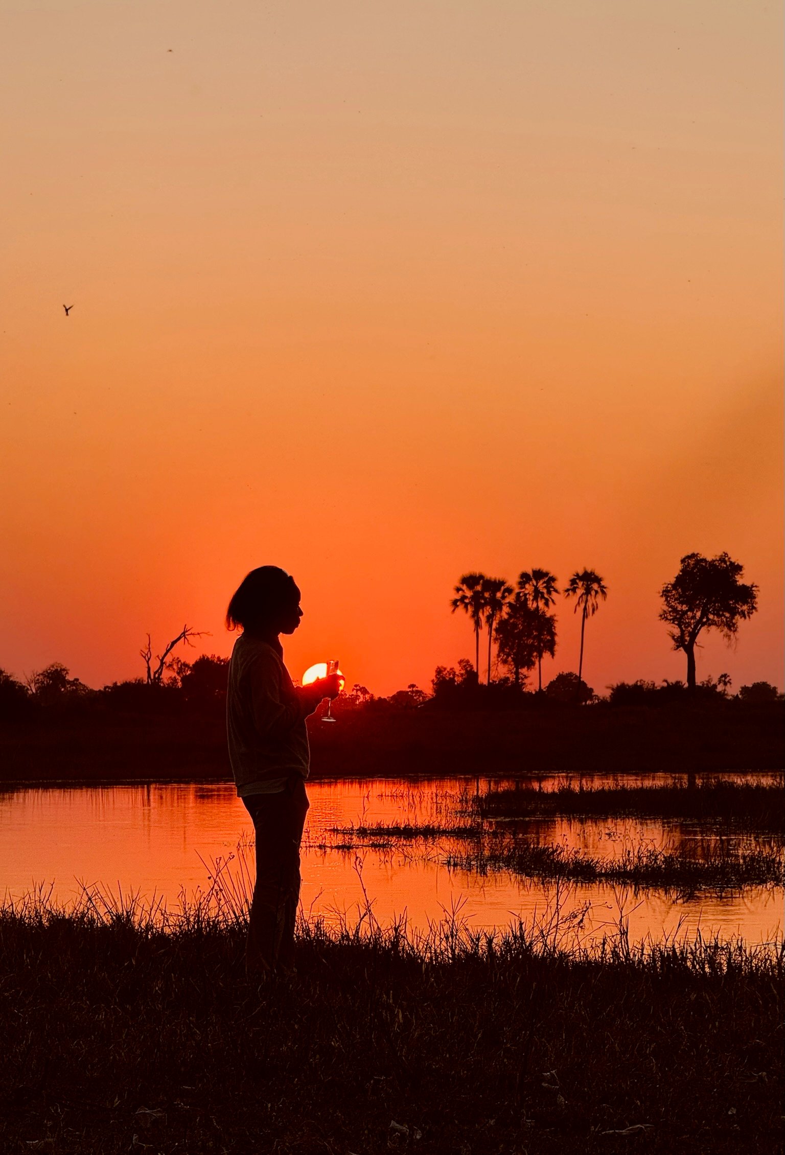 A lone figure holding a glass, silhouetted against a blazing sunset.