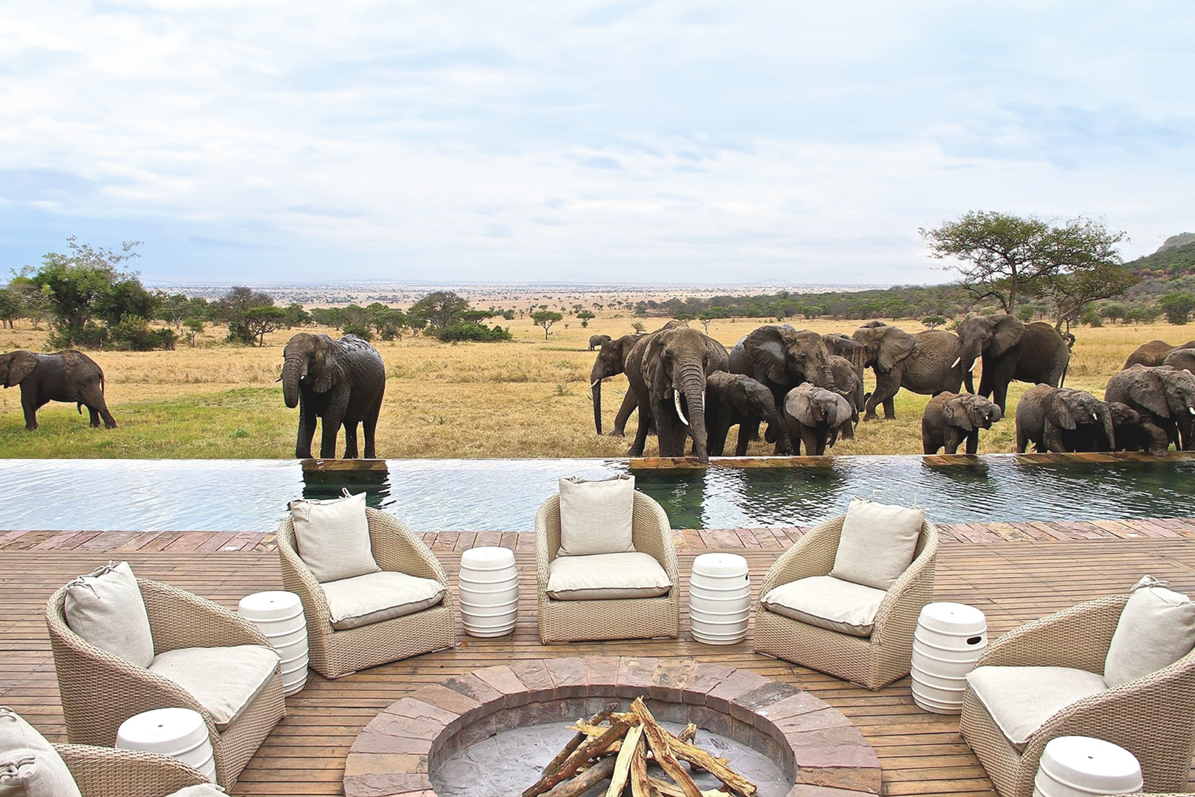 Outdoor seating area with wicker chairs and a fire pit overlooking elephants drinking from an infinity pool in a savanna landscape