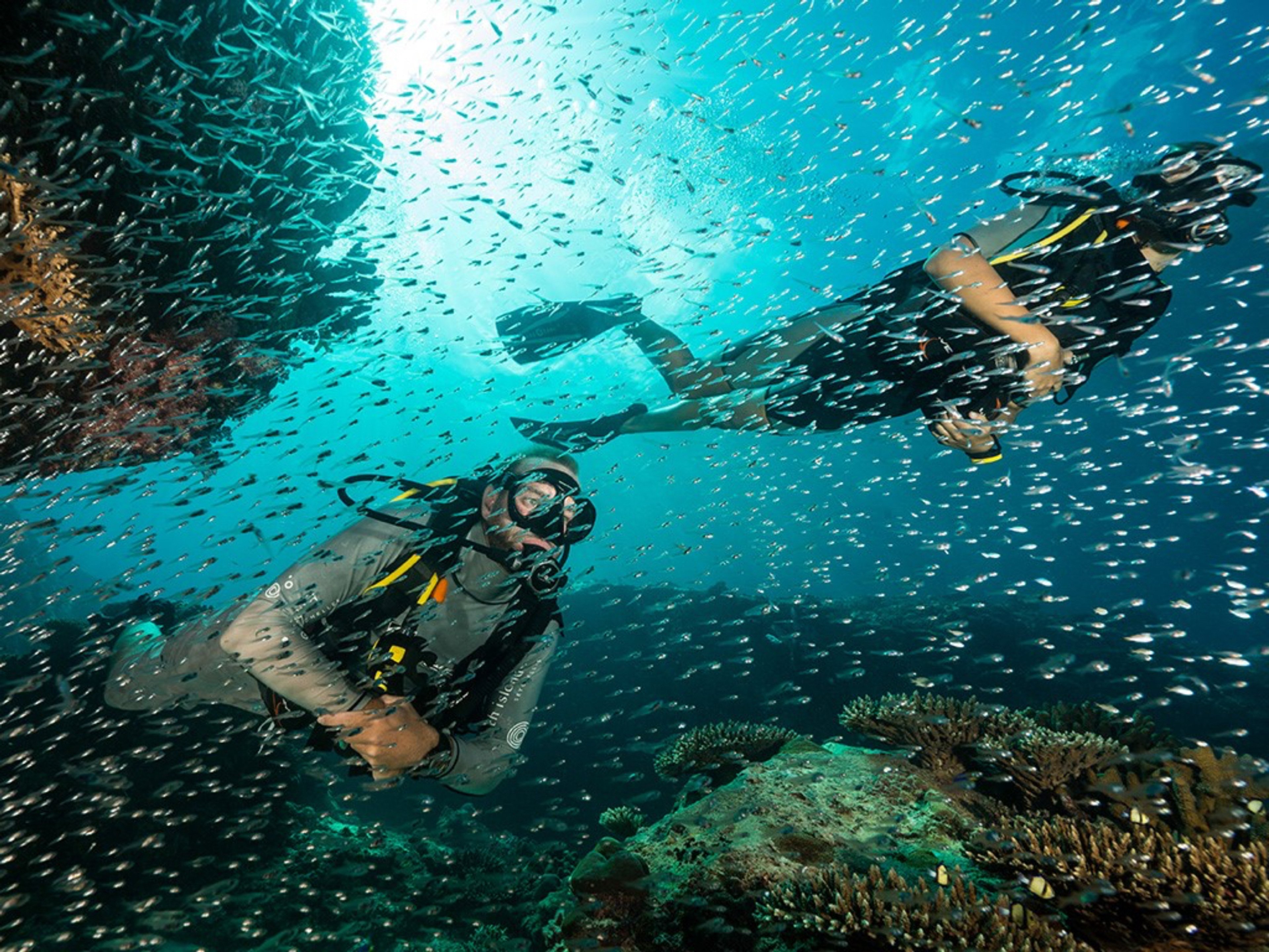 Two divers surrounded by small fish underwater